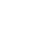 Dealer
