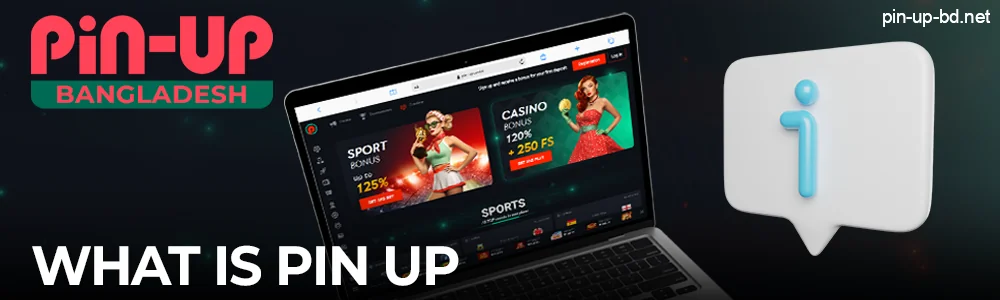 What is the Pin Up Casino?